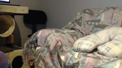 Snapshot of tyson2525 chatting on February 22, 3:56 am Helena and Tyson online show from February 22, 3:56 am