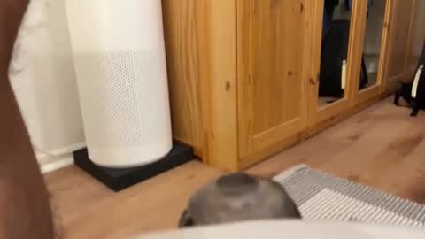 Umberto2015 online show from December 4, 5:33 pm