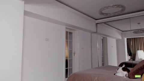Snapshot of unforgettable_s chatting on December 15, 5:42 pm Silvia online show from December 15, 5:42 pm
