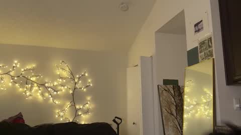 Snapshot of unhingedwang chatting on November 21, 11:47 pm wang online show from November 21, 11:47 pm