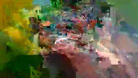 ur_zaddy4now online show from January 24, 11:37 am