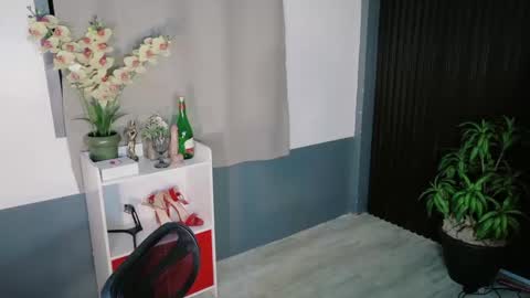 urfave_bbgirl online show from December 23, 9:29 am