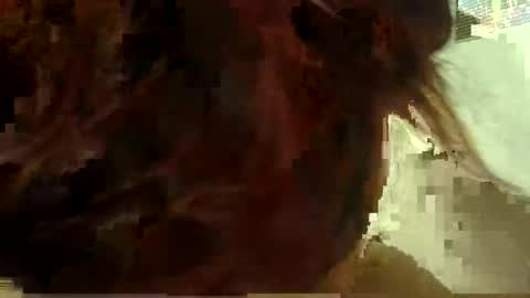 Aniie online show from January 11, 5:12 am