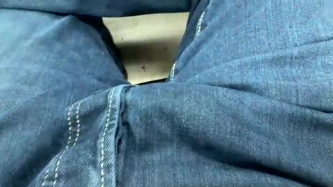 usabound online show from March 13, 1:51 pm