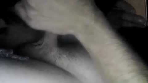 Slave bitch online show from April 22, 10:06 am