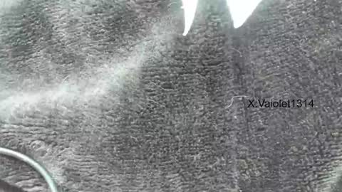 Snapshot of vaioletuwu chatting on January 26, 3:58 pm Vaiolet1314 online show from January 26, 3:58 pm