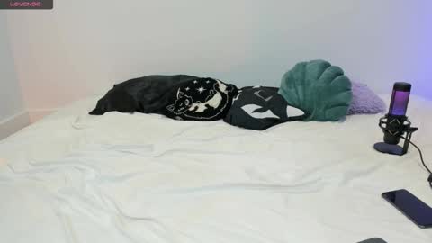 Snapshot of vamppire_girl chatting on November 21, 7:56 pm Vamppire Girl online show from November 21, 7:56 pm