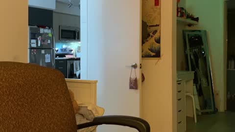 Snapshot of vanessapark chatting on January 5, 3:34 pm Vanessa  online show from January 5, 3:34 pm