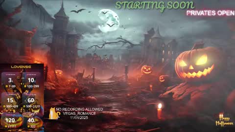 Snapshot of vegas_romance chatting on November 2, 12:13 am vegas_romance online show from November 2, 12:13 am