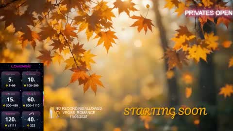 Snapshot of vegas_romance chatting on November 9, 11:25 pm vegas_romance online show from November 9, 11:25 pm