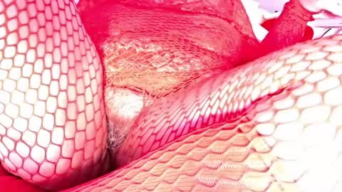 Vehe Veun online show from December 18, 7:20 pm