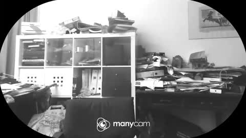 Snapshot of vejun2025 chatting on September 11, 7:47 pm vejun2025 online show from September 11, 7:47 pm