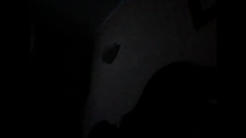 Snapshot of ven1977 chatting on October 26, 10:47 pm ven1977 online show from October 26, 10:47 pm