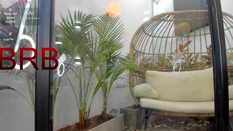 VENUS online show from February 1, 1:20 pm