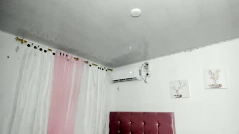 venus online show from November 14, 2:43 am