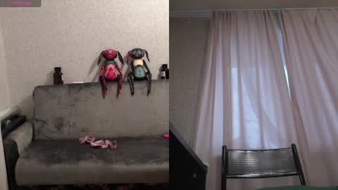 Sandra online show from January 29, 8:29 am