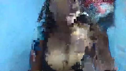 verolla31 online show from February 2, 8:08 pm