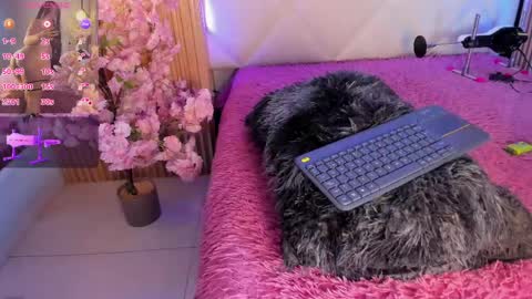 veronica_hill_ online show from June 3, 3:20 am