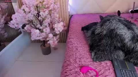 veronica_hill_ online show from June 10, 3:07 am