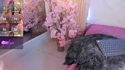 veronica_hill_ online show from June 18, 3:18 am