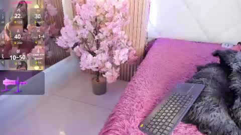 veronica_hill_ online show from June 24, 3:05 am