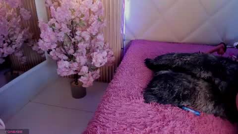 veronica_hill_ online show from July 1, 2:57 am