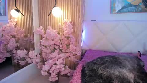 veronica_hill_ online show from July 10, 3:11 am