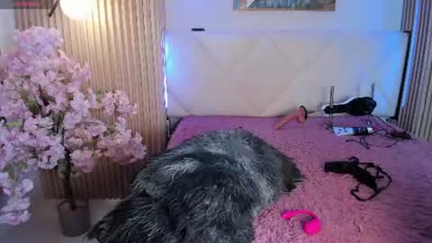 veronica_hill_ online show from July 29, 3:15 am