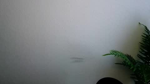 Snapshot of veryveryshygirl chatting on February 5, 9:14 am Ana online show from February 5, 9:14 am