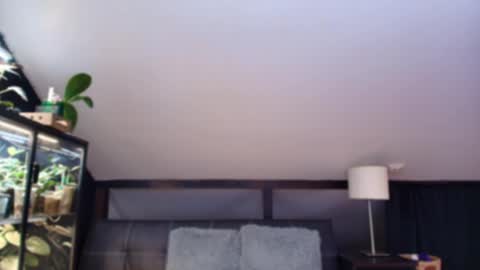 vevelicious online show from May 2, 6:24 pm