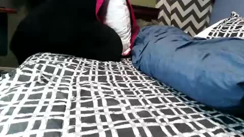 Vexnew online show from February 21, 9:38 pm