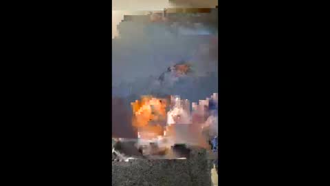 Snapshot of vhornynige69 chatting on January 9, 3:09 am vhornynige69 online show from January 9, 3:09 am