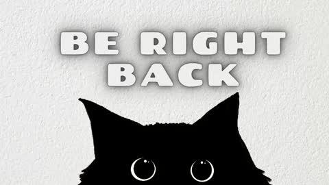 Anaya online show from February 13, 11:50 am