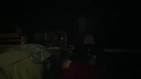 Snapshot of vibrantwhimsy chatting on December 3, 9:18 am vibrantwhimsy online show from December 3, 9:18 am