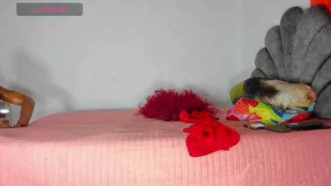 vicky manuela online show from May 1, 8:30 am