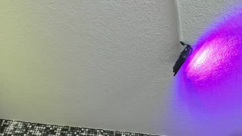 Viiolett online show from September 17, 4:19 pm