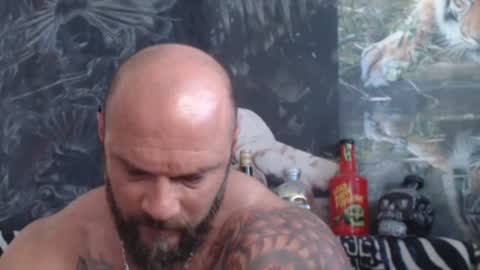 Snapshot of viking_me chatting on June 22, 6:32 am viking online show from June 22, 6:32 am