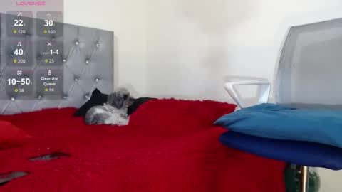 Snapshot of vinzent_lafed_ chatting on October 5, 7:39 am vinzent_lafed_ online show from October 5, 7:39 am