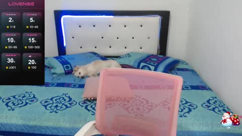 Snapshot of violet_stone22 chatting on December 30, 10:21 am Violeta online show from December 30, 10:21 am