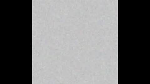 VIOLETA AND MAXX online show from November 24, 11:04 pm