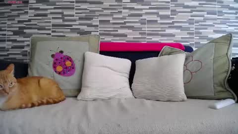 Snapshot of violetagomez_co chatting on July 7, 4:11 pm Violeta Gmez online show from July 7, 4:11 pm