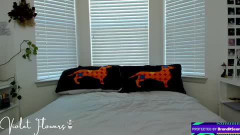 Snapshot of violetttflowers chatting on January 5, 6:13 pm Violet Flowers online show from January 5, 6:13 pm