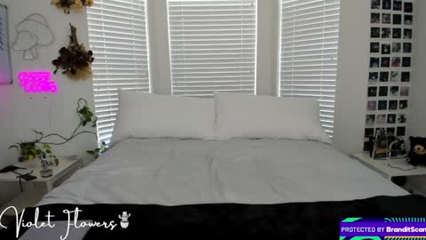 Snapshot of violetttflowers chatting on September 8, 5:12 pm Violet Flowers online show from September 8, 5:12 pm