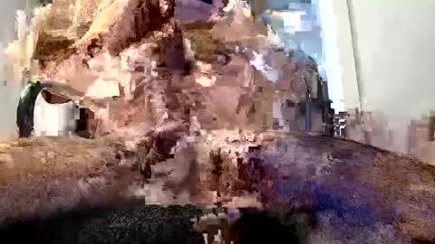 Snapshot of virtualsin114 chatting on May 29, 2:48 pm horny guy online show from May 29, 2:48 pm