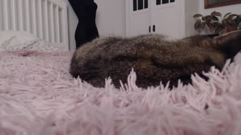 Visceratio online show from February 7, 9:15 pm