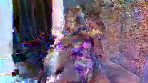 Ashley online show from May 30, 6:43 am