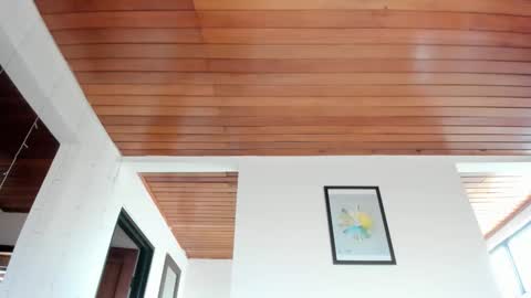 Vito Ferrer online show from January 16, 12:42 pm