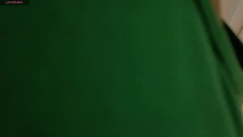 Snapshot of vixen_flutter chatting on April 1, 11:44 am Vixen online show from April 1, 11:44 am