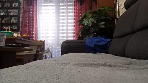 vlami69 online show from November 30, 8:40 am