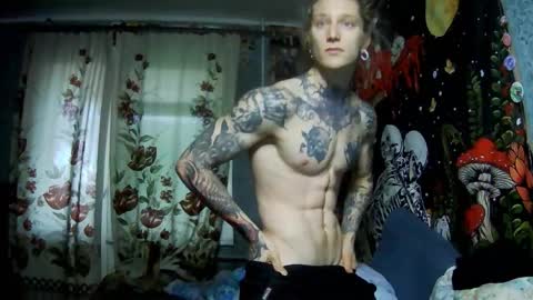 Elf online show from November 11, 12:27 pm